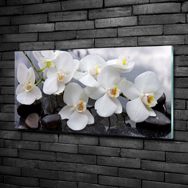 Foto obraz skleněný horizontální Orchidej osh-143985624