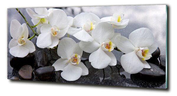 Foto obraz skleněný horizontální Orchidej osh-143985624