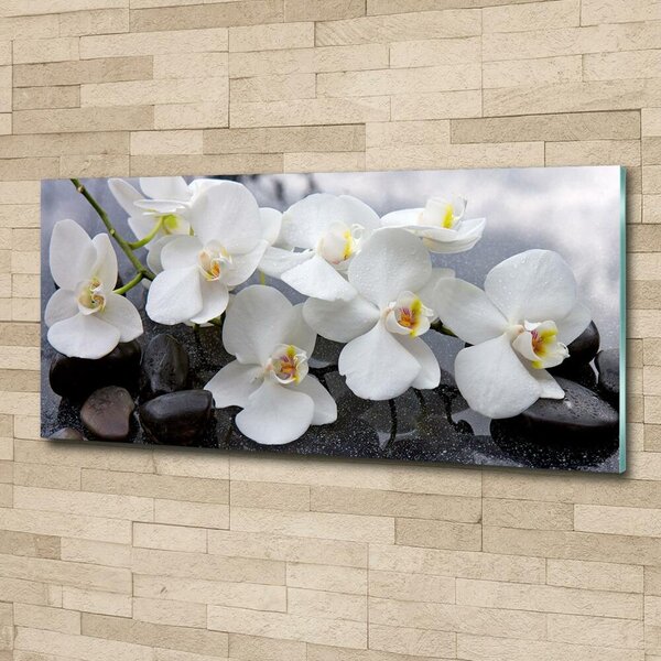 Foto obraz skleněný horizontální Orchidej osh-143985624