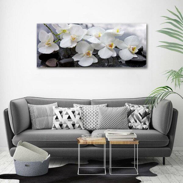 Foto obraz skleněný horizontální Orchidej osh-143985624