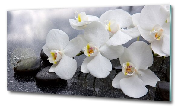 Fotoobraz na skle Orchidej osh-144310520