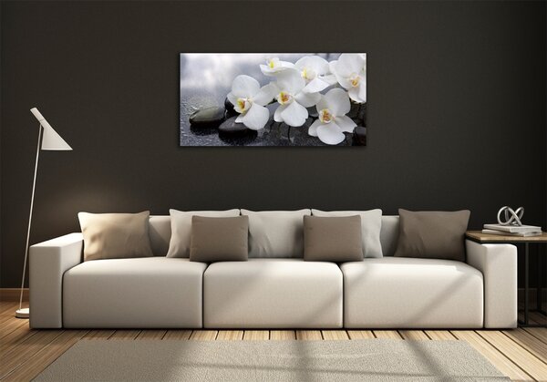Fotoobraz na skle Orchidej osh-144310520