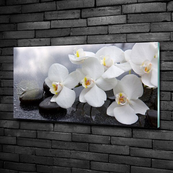Fotoobraz na skle Orchidej osh-144310520