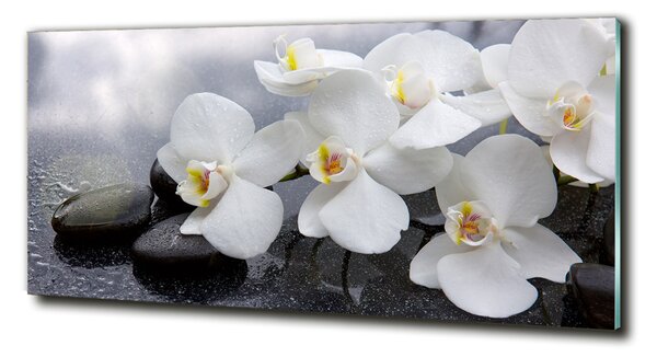 Fotoobraz na skle Orchidej osh-144310520