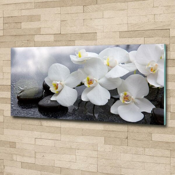 Fotoobraz na skle Orchidej osh-144310520