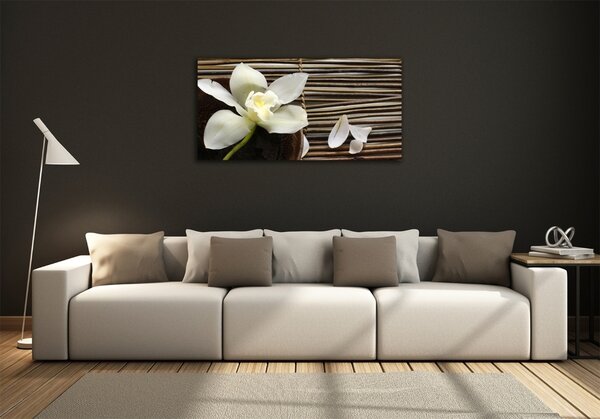 Foto obraz sklo tvrzené Orchidej osh-14760003
