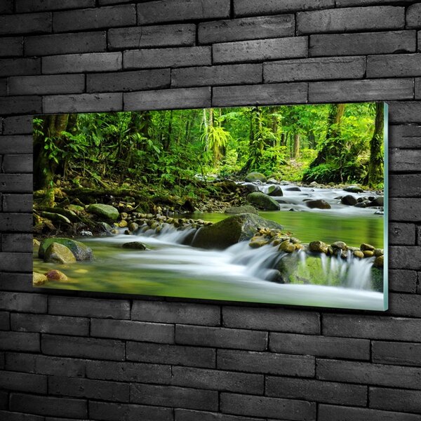 Foto obraz fotografie na skle Horský potok osh-15363026
