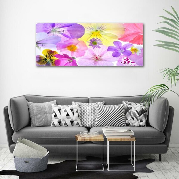 Fotoobraz na skle Fialky osh-161285503