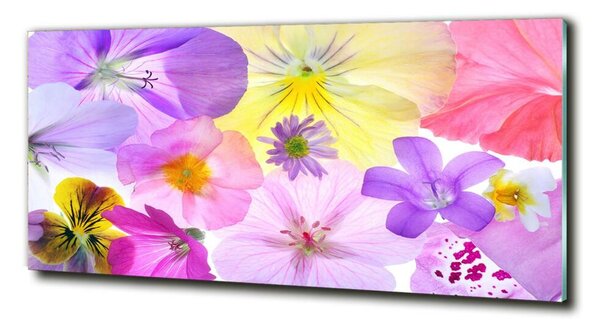 Fotoobraz na skle Fialky osh-161285503