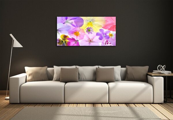 Fotoobraz na skle Fialky osh-161285503