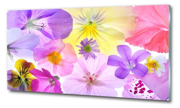 Fotoobraz na skle Fialky osh-161285503