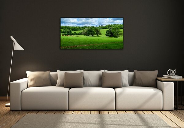 Foto obraz sklo tvrzené Zelené pahorky osh-169228347