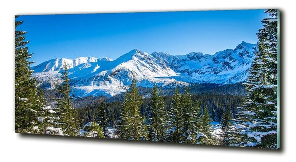 Foto obraz skleněný horizontální Panorama Tater osh-181484516