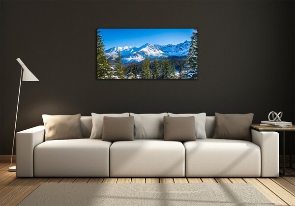 Foto obraz skleněný horizontální Panorama Tater osh-181484516