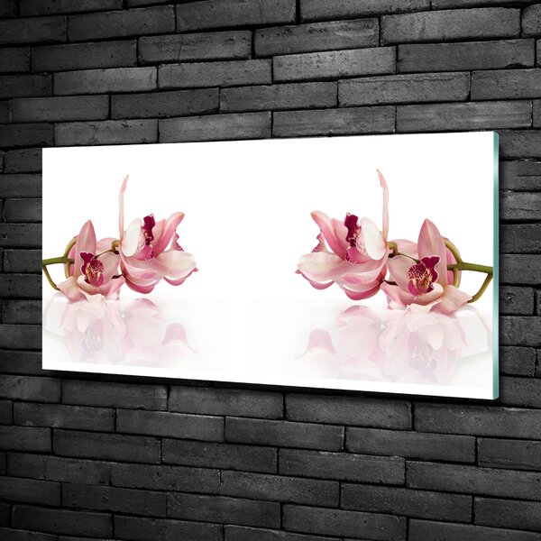 Foto obraz sklo tvrzené Orchidej osh-18886978