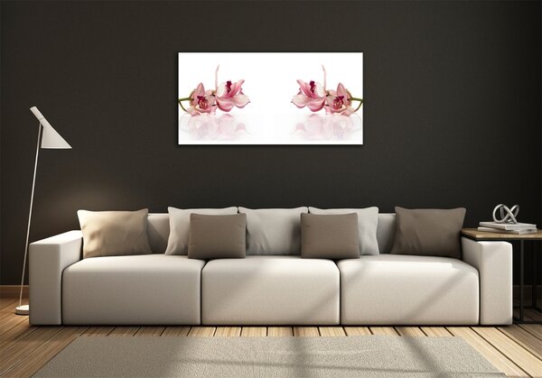Foto obraz sklo tvrzené Orchidej osh-18886978