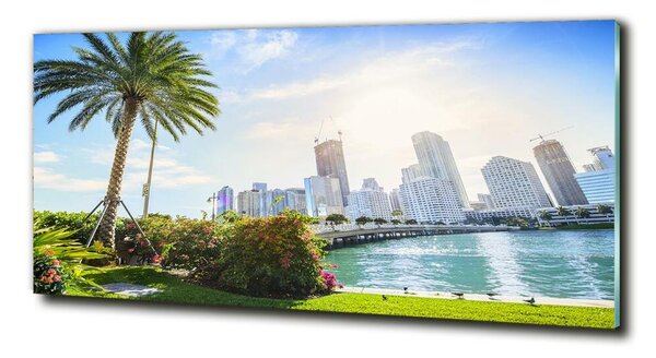 Foto-obraz fotografie na skle Miami USA osh-189099838