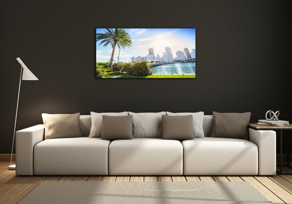 Foto-obraz fotografie na skle Miami USA osh-189099838