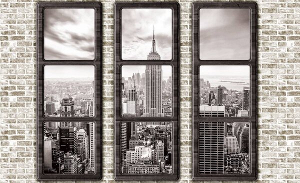 Fototapeta - New York - výhled z okna (152,5x104 cm)