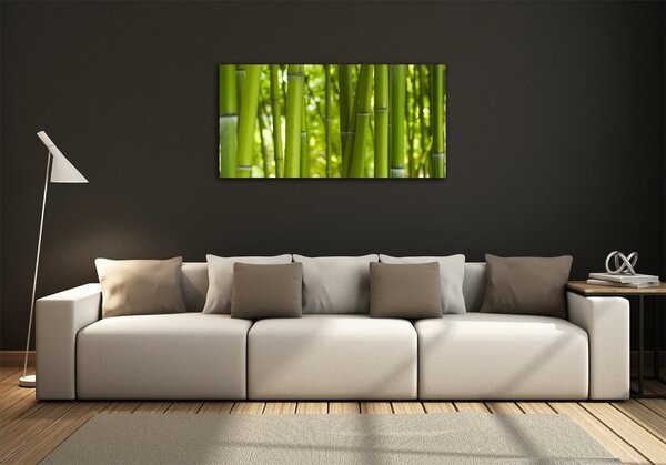 Foto obraz fotografie na skle Bambus osh-24255297