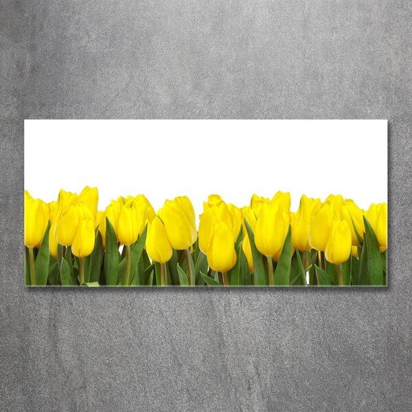 Foto obraz sklo tvrzené Žluté tulipány osh-2665979
