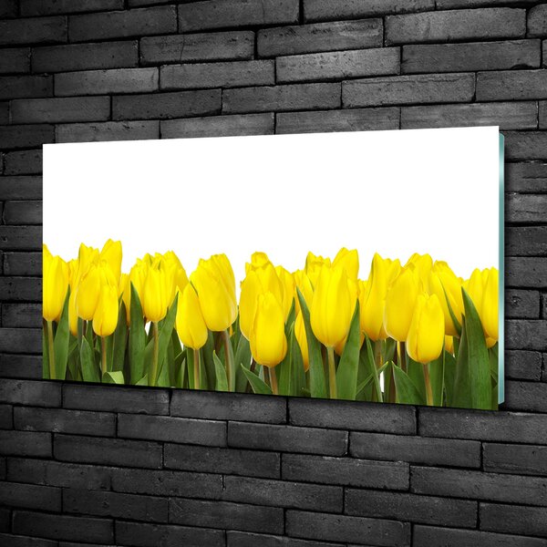 Foto obraz sklo tvrzené Žluté tulipány osh-2665979