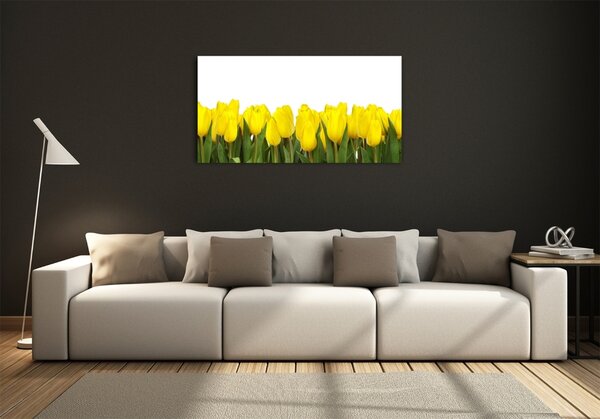 Foto obraz sklo tvrzené Žluté tulipány osh-2665979