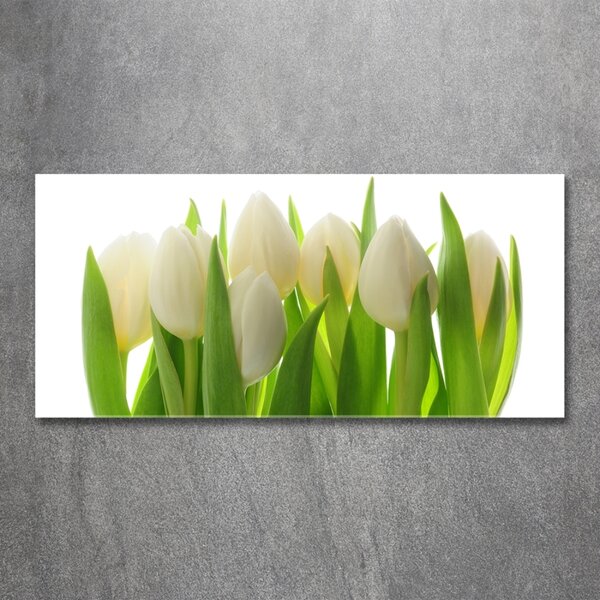 Foto obraz fotografie na skle Tulipány osh-28819889