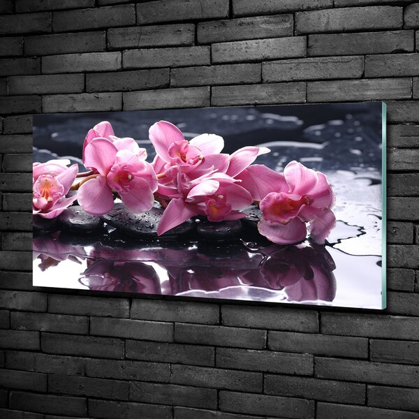 Foto obraz sklo tvrzené Růžová orchidej osh-28903356