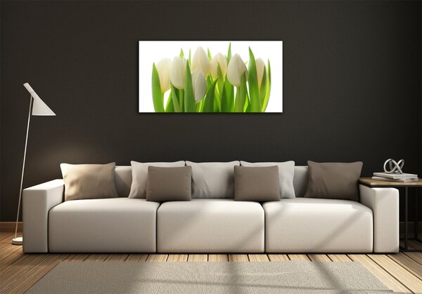 Foto obraz fotografie na skle Tulipány osh-28819889