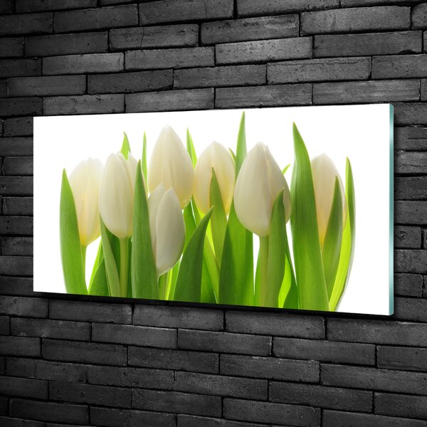 Foto obraz fotografie na skle Tulipány osh-28819889