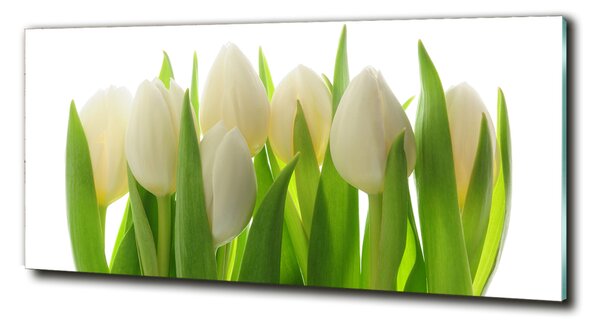 Foto obraz fotografie na skle Tulipány osh-28819889