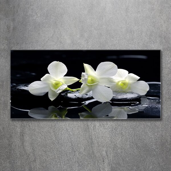 Foto obraz fotografie na skle Orchidej osh-28908662