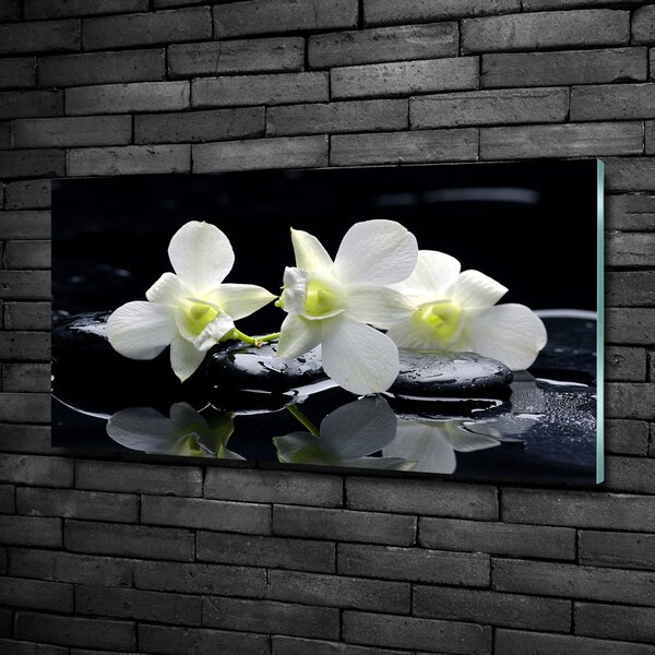 Foto obraz fotografie na skle Orchidej osh-28908662
