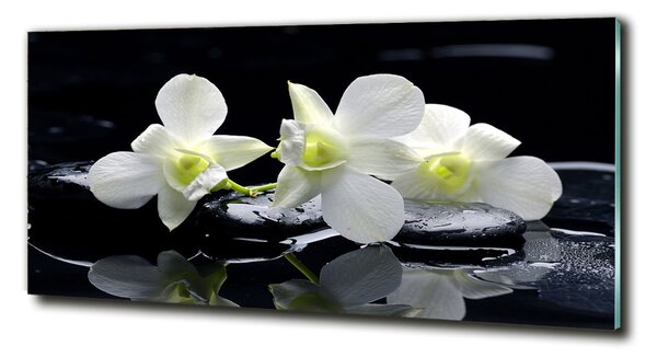 Foto obraz fotografie na skle Orchidej osh-28908662