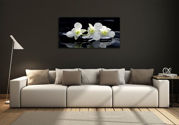 Foto obraz fotografie na skle Orchidej osh-28908662
