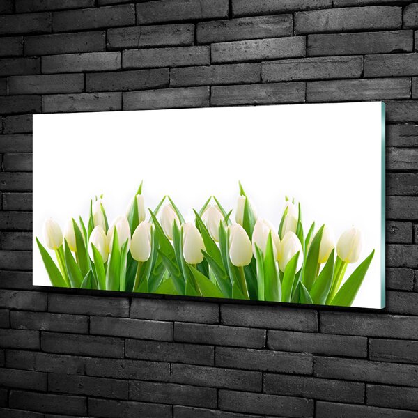 Fotoobraz na skle Bílé tulipány osh-30153186