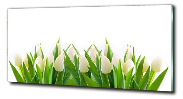 Fotoobraz na skle Bílé tulipány osh-30153186