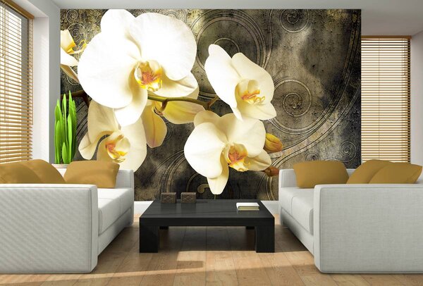 Fototapeta - Orchideje (152,5x104 cm)