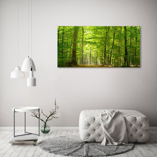 Foto obraz sklo tvrzené Listnatý strom osh-31250020