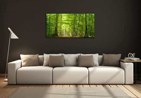 Foto obraz sklo tvrzené Listnatý strom osh-31250020