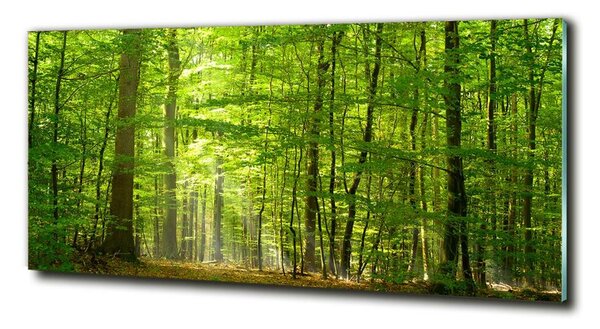 Foto obraz sklo tvrzené Listnatý strom osh-31250020
