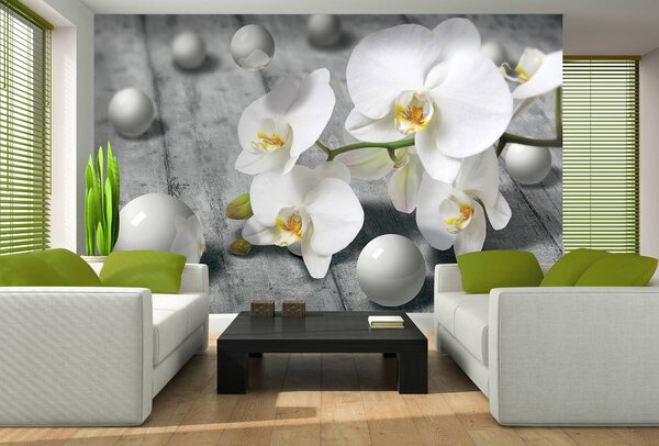 Fototapeta - Bílé orchideje (152,5x104 cm)