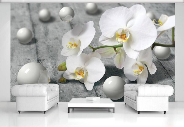 Fototapeta - Bílé orchideje (152,5x104 cm)