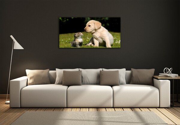 Foto obraz skleněný horizontální Pes a kočka na louce osh-38411802
