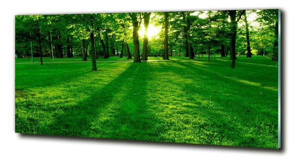 Foto obraz skleněný horizontální Tráva v parku osh-3863874