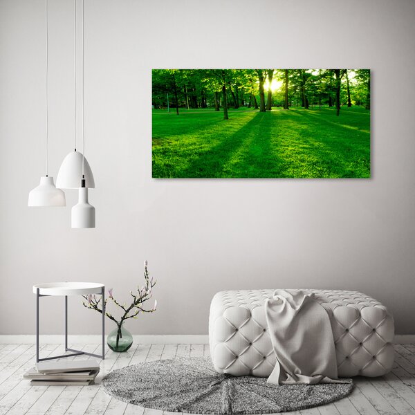 Foto obraz skleněný horizontální Tráva v parku osh-3863874