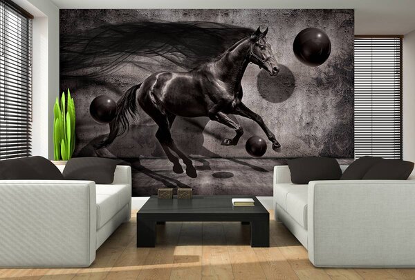 Fototapeta - Černý kůň (152,5x104 cm)