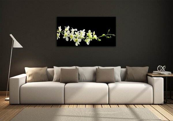 Foto obraz sklo tvrzené Orchidej osh-4005190