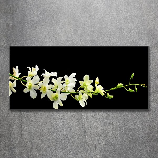 Foto obraz sklo tvrzené Orchidej osh-4005190
